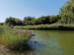 -大兴滨河森林公园