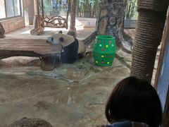 -海南热带野生动植物园