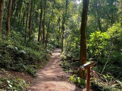 -广州市帽峰山景区
