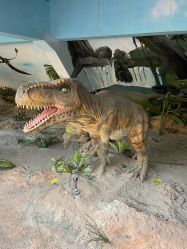 点击看大图 -宝燕乐园(闵行旗舰店)