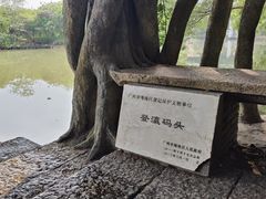 -小洲村