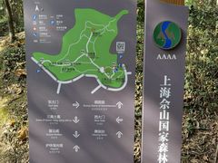 -上海佘山国家森林公园天马山园