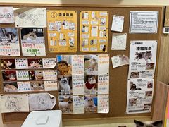 -滚猫咖啡·猫咖·猫友好撸猫(未来城店)