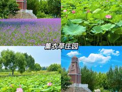 -渔岛海洋度假区