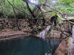 -四门塔风景区