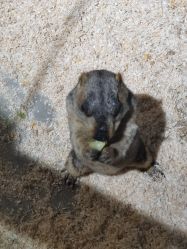 -酷嗒动物文化乐园(cutezoo西溪乐天城店)