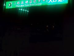 -上海旅游集散中心(万体站)