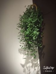 点击看大图 -新龙门刺青·纹身
