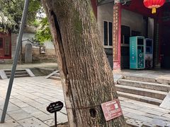 -南阳卧龙岗武侯祠
