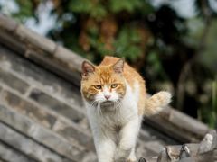 -前叁門
