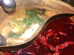 -小龙坎火锅(双林店)