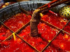九宫格红油锅底-陶婆婆火锅(洪崖洞店)