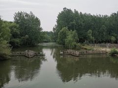 -溱湖国家湿地公园