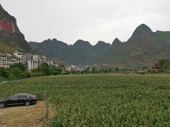 -长寿村