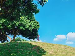 -红花山公园