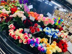-荷兰花海