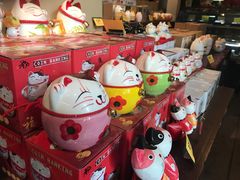 -猫咪博物馆(顶澳仔猫街店)