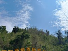 -西双版纳原始森林公园
