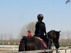 -北京群众马术培训基地