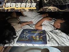 -世界恐龙谷景区