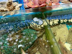 -双合园·海鲜水饺青岛菜(万佳广场店)