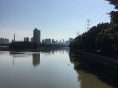-光明港公园