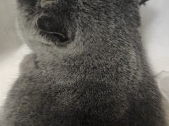 -它主义宠物(梁溪万达店)