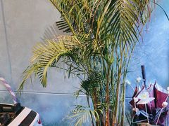 -CIAO·团建聚餐·生日派对轰趴馆(福田店)