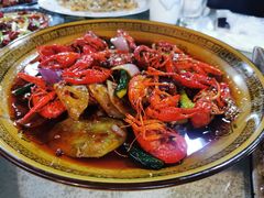 -方脑壳