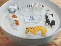 -猫里有甜