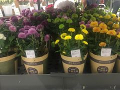 -鹿岛会员店 (龙湖三千集天街店)