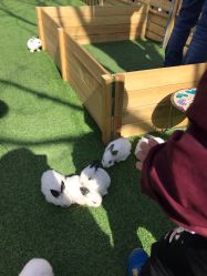 -萌宠亲子动物乐园(槐房万达店)