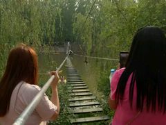 -东方巨龟苑景区