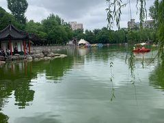 -莲湖公园