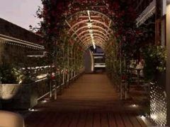 -Cohiba Atmosphere高希霸魅力俱乐部(国贸店)