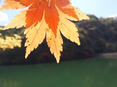 -丹东天桥沟景区