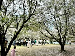 -同济大学(嘉定校区)