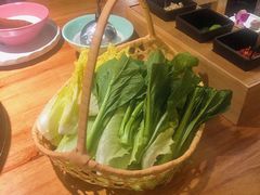 -椰夫人·养生椰子鸡(金沙洲永旺店)
