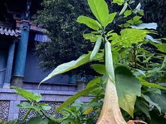 -天龙八部武侠城