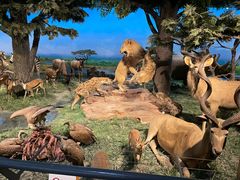 -国家自然博物馆