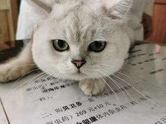 -心仪动物医院·牙专科·肿瘤·心脏科(西客站院)