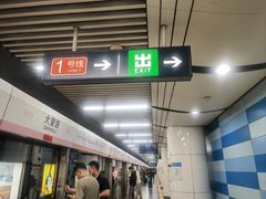 -大望路(地铁站)