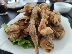 -鑫渔港海鲜本地菜·山海关浑锅(东戴河店)