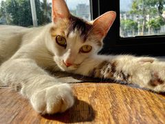 -251#coffee roasters(沿河东路店)