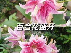 -衣裳街历史文化街区