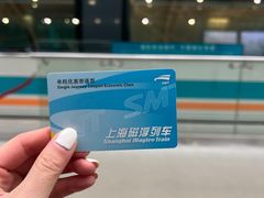 -龙阳路磁悬浮列车总站-停车场