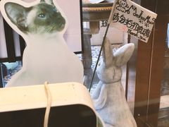 -more than meow吴止猫主题餐厅(承德 中船汇店)