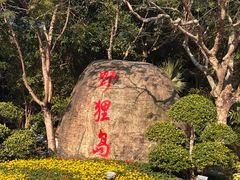 -野狸岛