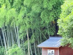 -花溪风景区