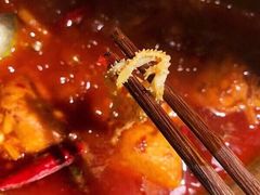 -小龙坎火锅(总店)